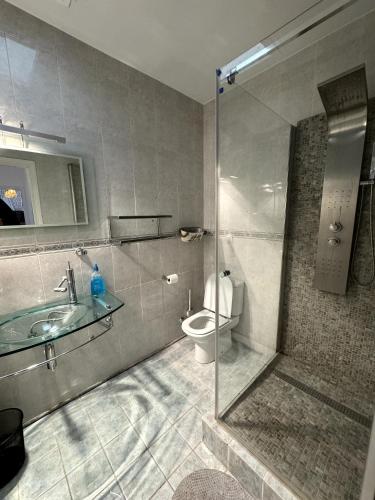 a bathroom with a shower and a toilet and a sink at Villa Mediterránea in Calafat
