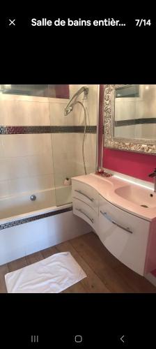 une salle de bain avec un lavabo et un miroir dans l'établissement Ravissante maison de ville, à Saint-Cloud