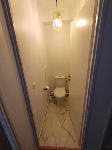 une petite salle de bains avec toilettes dans le couloir dans l'établissement Le Cocon des Bluetwins, à Caen