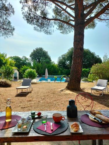 - une table de pique-nique avec de la nourriture et un arbre dans l'établissement Chambre Basilic Mas Bel Espérance, à Saint-André-dʼOlérargues