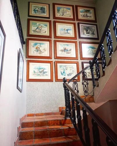 a stairway with pictures on a wall and a stair case at Hotel Olimpia Centro Histórico in Monclova