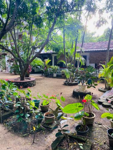 a garden with lots of potted plants and a building at The Green Garden in Dambulla