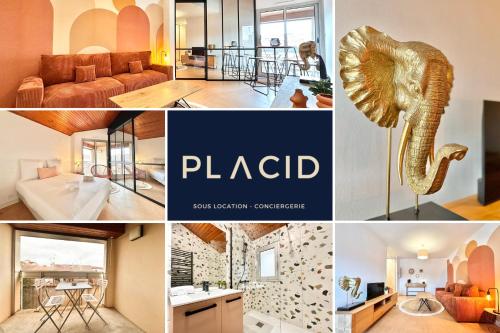 a collage of photos of homes and apartments at Le Terrazzo - Élégant - Centre - Balcon - Lumineux in Mont-de-Marsan
