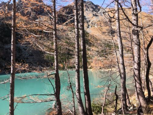 a view of the river through the trees at Sabbionaccio Apartments & Spa in Chiesa in Valmalenco