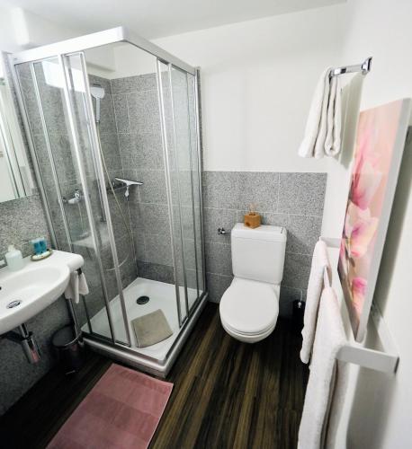 a bathroom with a shower and a toilet and a sink at Chesa Sper l'Ovel Brail in Zernez