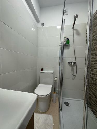 a bathroom with a toilet and a shower at Hostel Nosso Lar in Odivelas