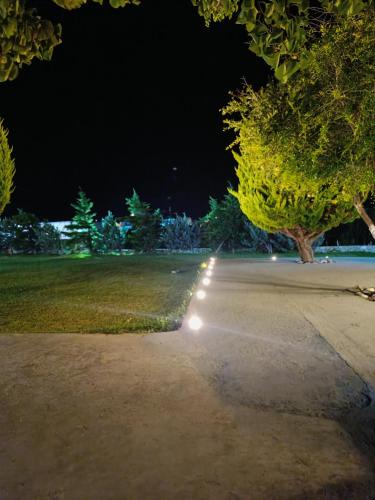 Gambar di galeri bagi Mira apartment di Skiros