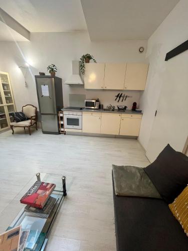 Photo de la galerie de l'établissement Très bel appart spacieux proche universités et centre, à Strasbourg