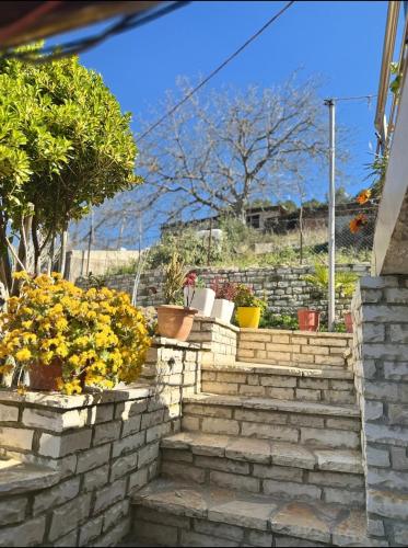 a set of stairs with flowers and plants at Guesthouse & Hospitality in Berat