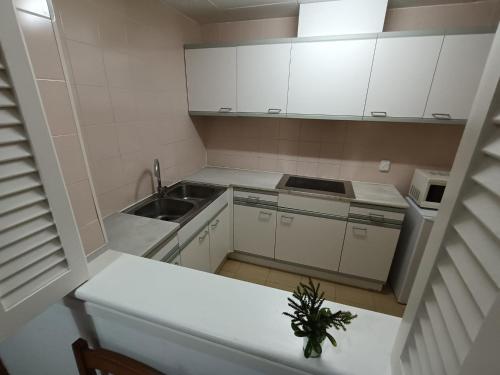 Kuchyň nebo kuchyňský kout v ubytování APCOSTAS Els Pins Lotus