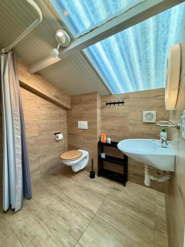 a bathroom with a sink and a toilet with a skylight at Holiday Home Vijfhuizen in Vijfhuizen