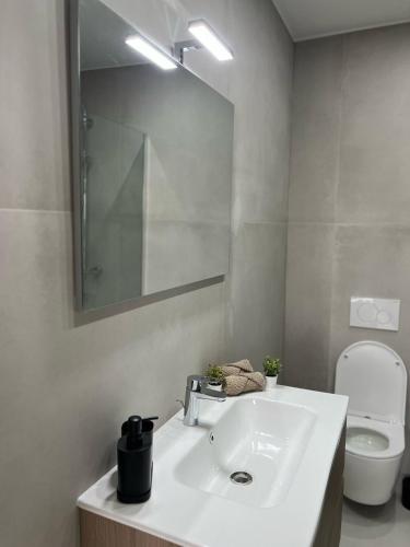 a bathroom with a sink and a toilet and a mirror at Luxury Apartment near Expo 12 & ING Arena & Atomium in Wemmel