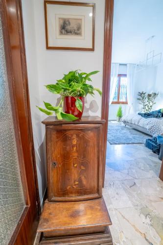 a plant on top of a wooden cabinet in a room at Da Luigi Pio in Florence