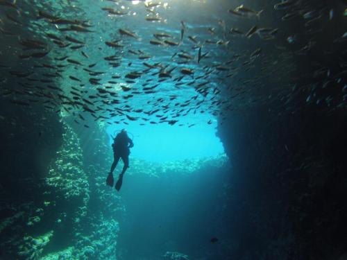 a person swimming in a cave with a school of fish at Reef Resort Vava'u in Utungake