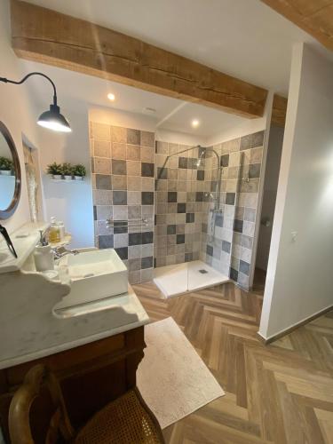 une salle de bain avec un lavabo et une douche dans l'établissement La Maison de Léo, à Saint-Mitre-les-Remparts