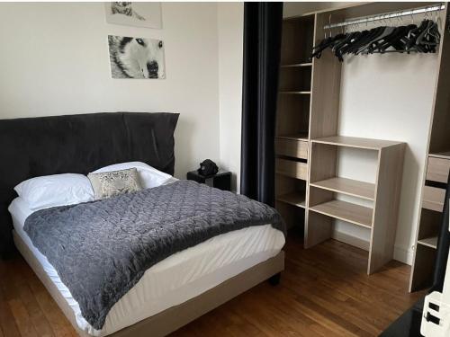 une chambre avec un lit et une étagère dans l'établissement Chez Nathan appartement 2 chambres, à Auxerre