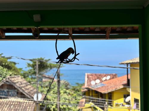 a small bird sitting on a wire in front of a window at Pouso da Celeste - Trindade in Trindade