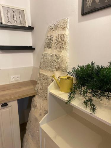 - un escalier en pierre dans une pièce avec une plante dans l'établissement Le studio de la Bonne Aventure, à Saint-Mitre-les-Remparts
