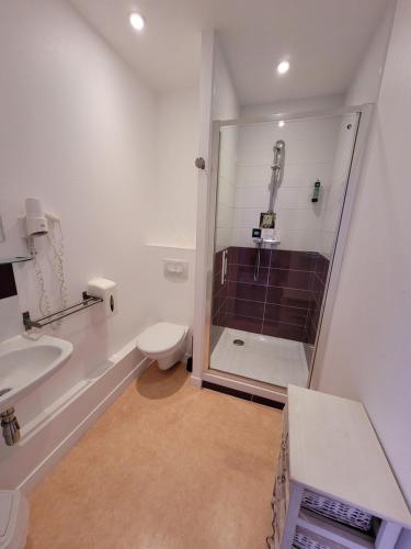 a bathroom with a shower and a toilet and a sink at Hotel Logis Au Moyne de Saire in Réville
