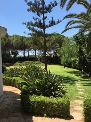 Κήπος έξω από το Sapphire 43, Plemmirio's Oasis