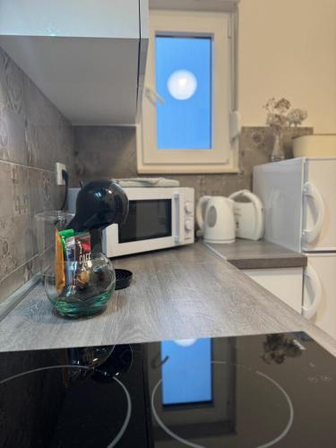 Η κουζίνα ή μικρή κουζίνα στο Apartman Ema
