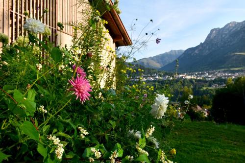 a bunch of flowers in front of a building at B&B Mas de Lagorae in Tesero