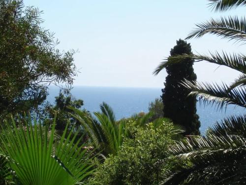 a view of the ocean through the palm trees at Villa spacieuse avec piscine à Rayol-Canadel-sur-Mer in Rayol-Canadel-sur-Mer