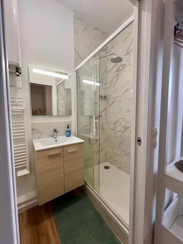 une salle de bain avec douche et lavabo dans l'établissement Laa Conciergerie, l'écrin vert des Chalets, à Toulouse