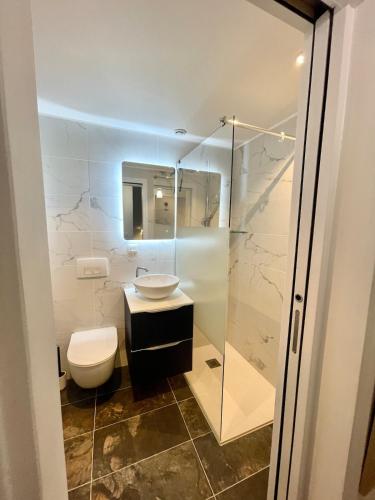 une salle de bain avec toilettes, lavabo et douche dans l'établissement Cozy House - Roissy CDG Paris - Parc-expo -Astérix, à Louvres