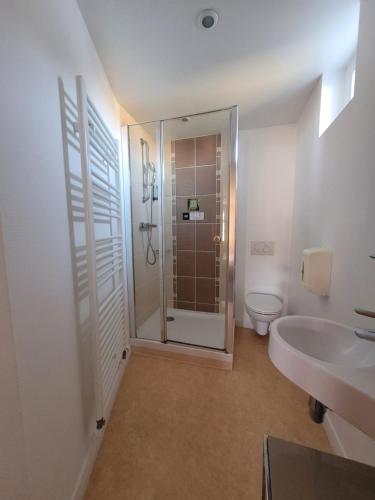a bathroom with a shower and a toilet at Hotel Logis Au Moyne de Saire in Réville