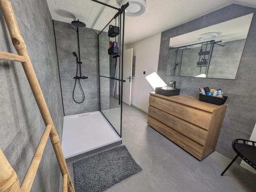 La salle de bains est pourvue d'une douche et d'une armoire en bois. dans l'établissement Gîte des Petits Prés, à La Neuville-aux-Joûtes