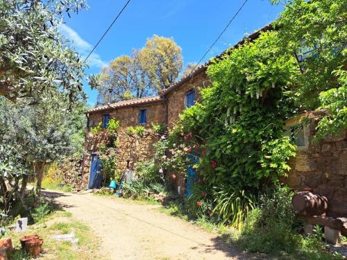Giardino di Cottage Vivenda Festina Lente
