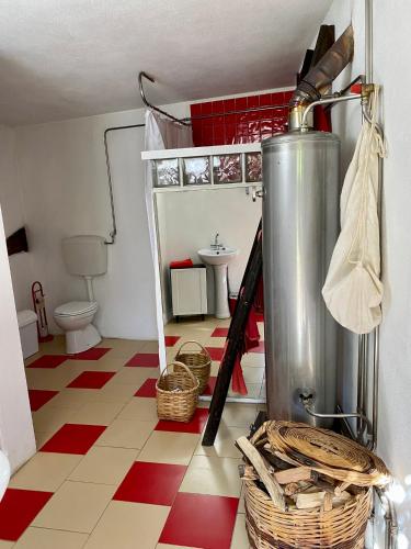 a bathroom with a red and white checkered floor at Cottage Vivenda Festina Lente in Figueiró dos Vinhos