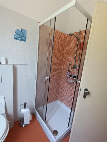 a shower with a glass door in a bathroom at 3B Firenze in Capraia e Limite