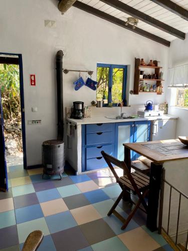 a kitchen with blue cabinets and a checkered floor at Cottage Vivenda Festina Lente in Figueiró dos Vinhos
