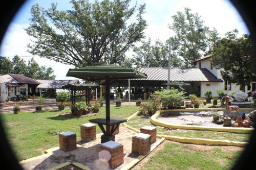 a garden with a fountain and an umbrella at Umang-umang Chalet in Kampong Tanjong Dahan