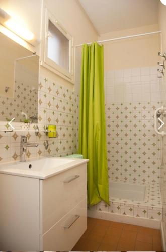 La salle de bains est pourvue d'un rideau de douche vert et d'un lavabo. dans l'établissement Joli appartement avec vue, idéal pour votre cure, à Royat
