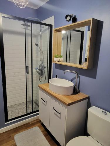 a bathroom with a sink and a glass shower at Pink Galaxy in Baciu