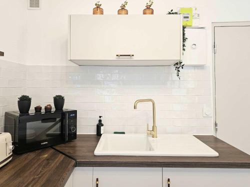 une cuisine avec un évier et un micro-ondes dans l'établissement Niala Studio in city center of Marseille at Vieux-Port and Opera, à Marseille