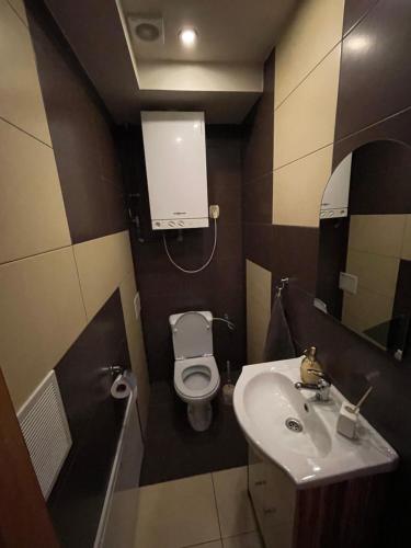Koupelna v ubytování Apartament Moniuszki