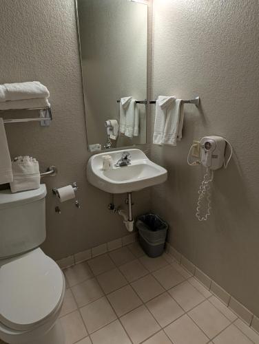 a bathroom with a toilet and a sink and a mirror at Days Inn & Suites by Wyndham Castle Rock in Castle Rock