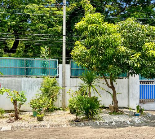 a tree in a garden next to a fence at Kasih HomeStay Banyuwangi Mount Ijen Crater in Banyuwangi