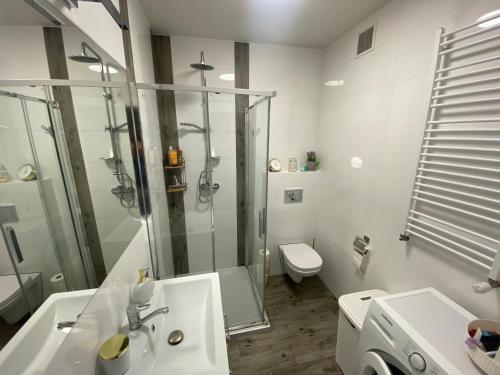 Zdjęcie z galerii obiektu Nad Wisłą w Tczewie