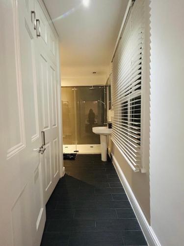 a bathroom with a shower and a sink and a door at Saskia's Rooms in Winchester