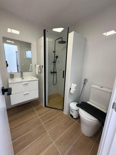 a bathroom with a shower and a toilet and a sink at Apartamento 3 habitaciones Valencia in Alboraya