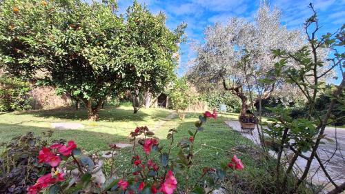 Ein Garten an der Unterkunft La Civetta, a 15 minuti dal mare di Otranto