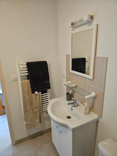 une salle de bain blanche avec un lavabo et un miroir dans l'établissement Villa 7 personnes résidence Mélody, à Santa-Maria-Poggio