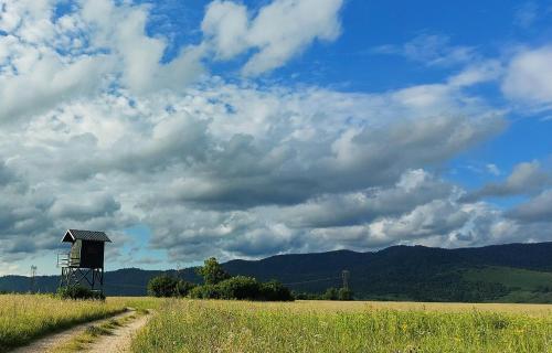 a tower in the middle of a field with a dirt road at Apartman Crljenko in Lič