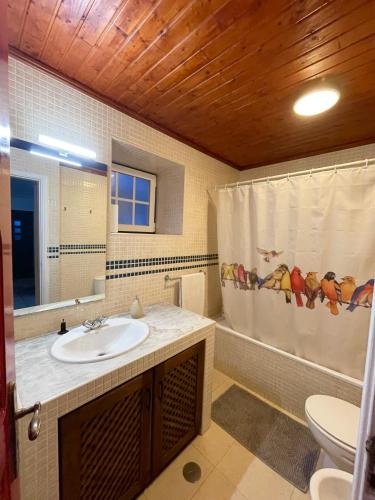 a bathroom with a sink and a shower curtain at Casa da Laranjeira Pet Friendly in Vale Covo