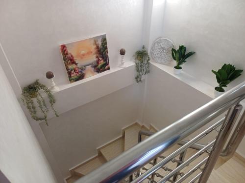 a staircase with white shelves and potted plants at Mini villa 1 Al hoceima in Al Hoceïma
